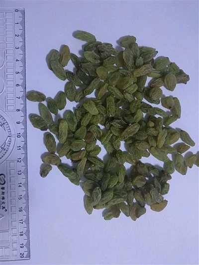 グリーンラシン